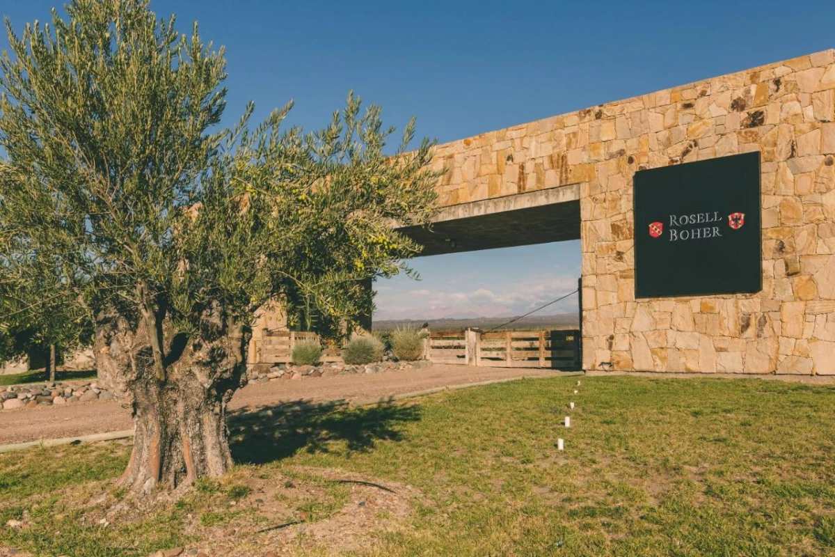 Rosell Boher Winery Lodge & Spa - Hotel Photo 39