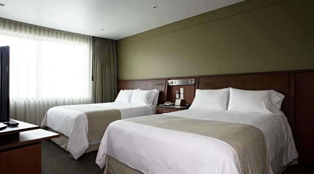 Family Suite at Suites Camino Real