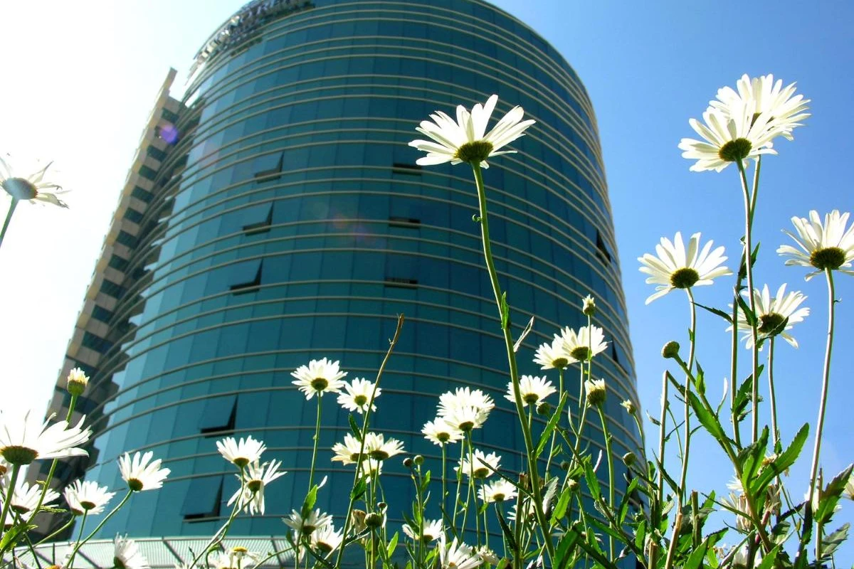 Suites Camino Real - Hotel Photo 1