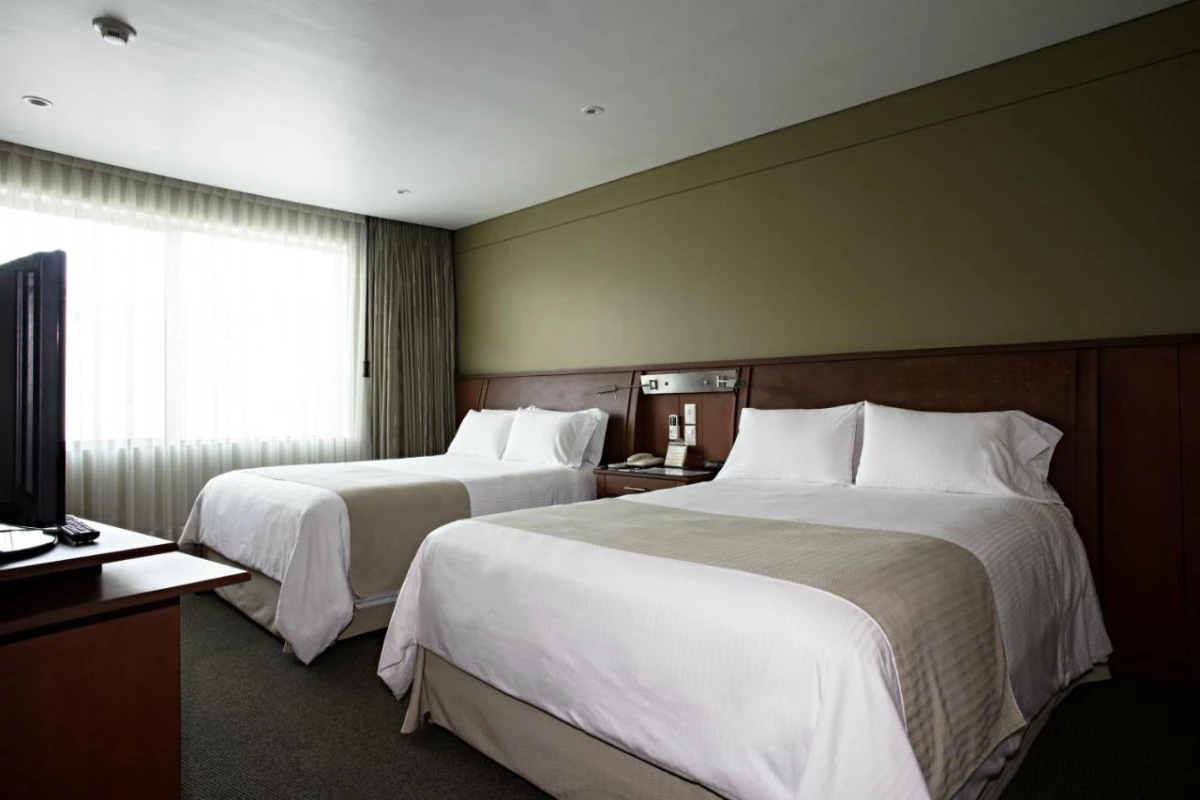 Suites Camino Real - Hotel Photo 15