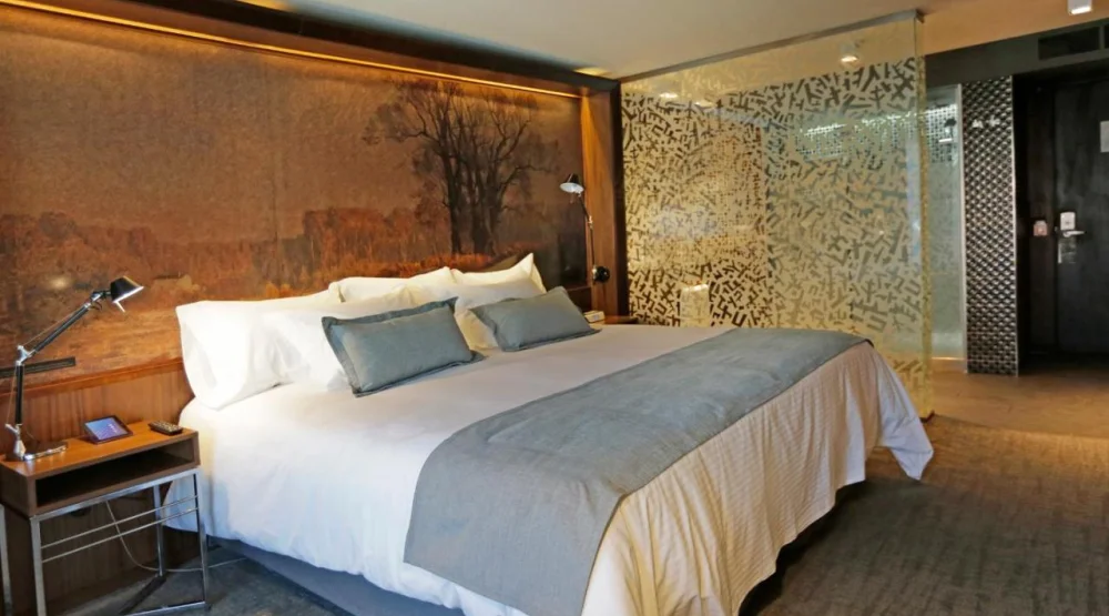 Standard Double Room at Cumbres Lastarria