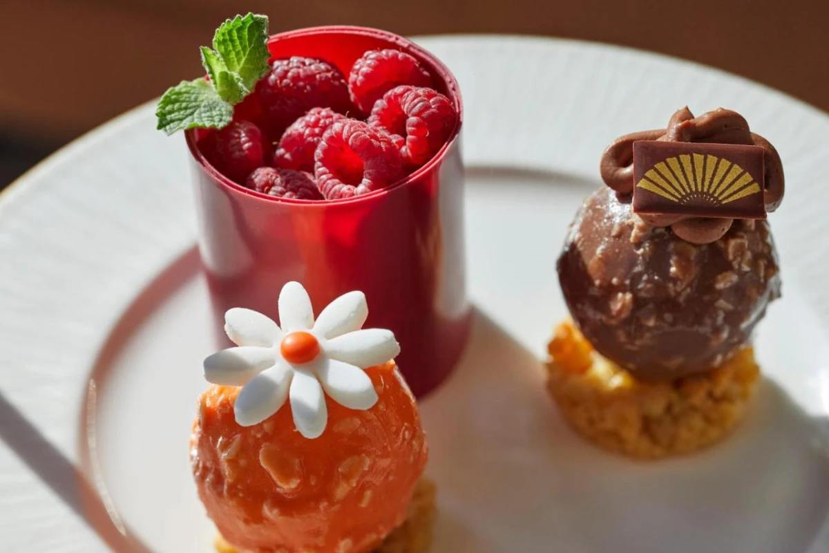 Mandarin Oriental Santiago - Hotel Photo 24