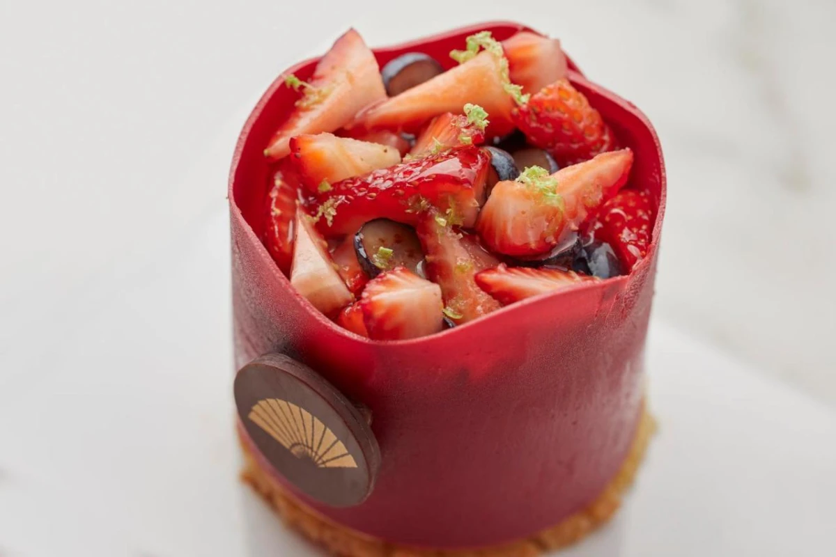 Mandarin Oriental Santiago - Hotel Photo 25