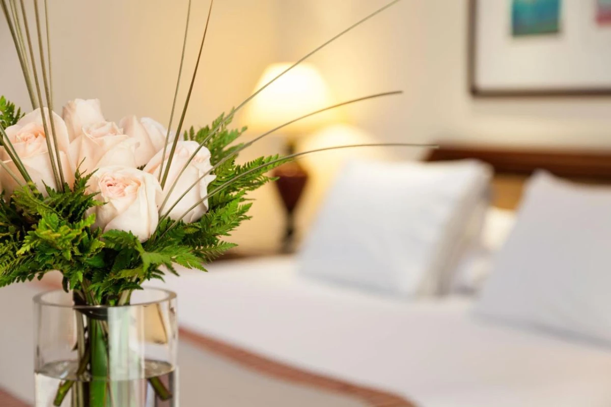 Plaza San Francisco - Hotel Photo 15