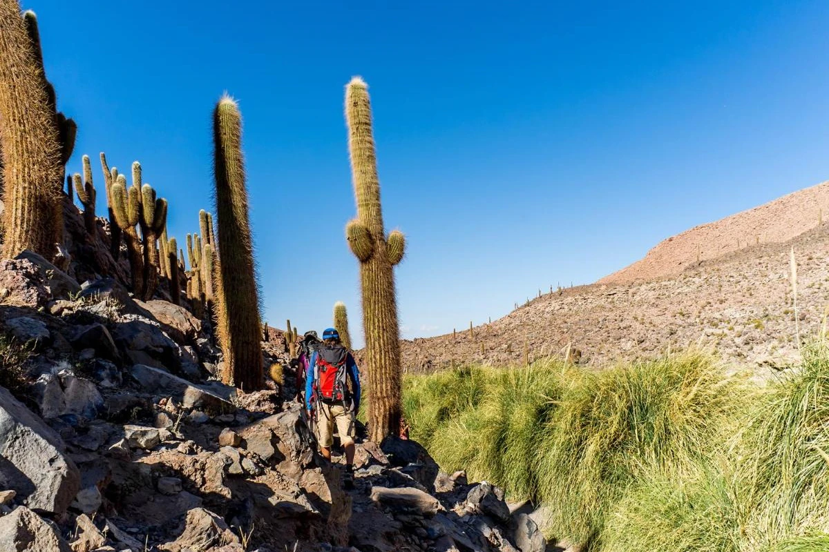 Hotel Noi Casa Atacama - Hotel Photo 30