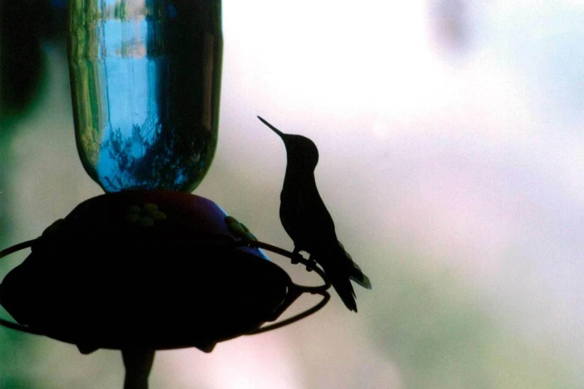 Inkaterra Machu Picchu Pueblo - Hotel Photo 30