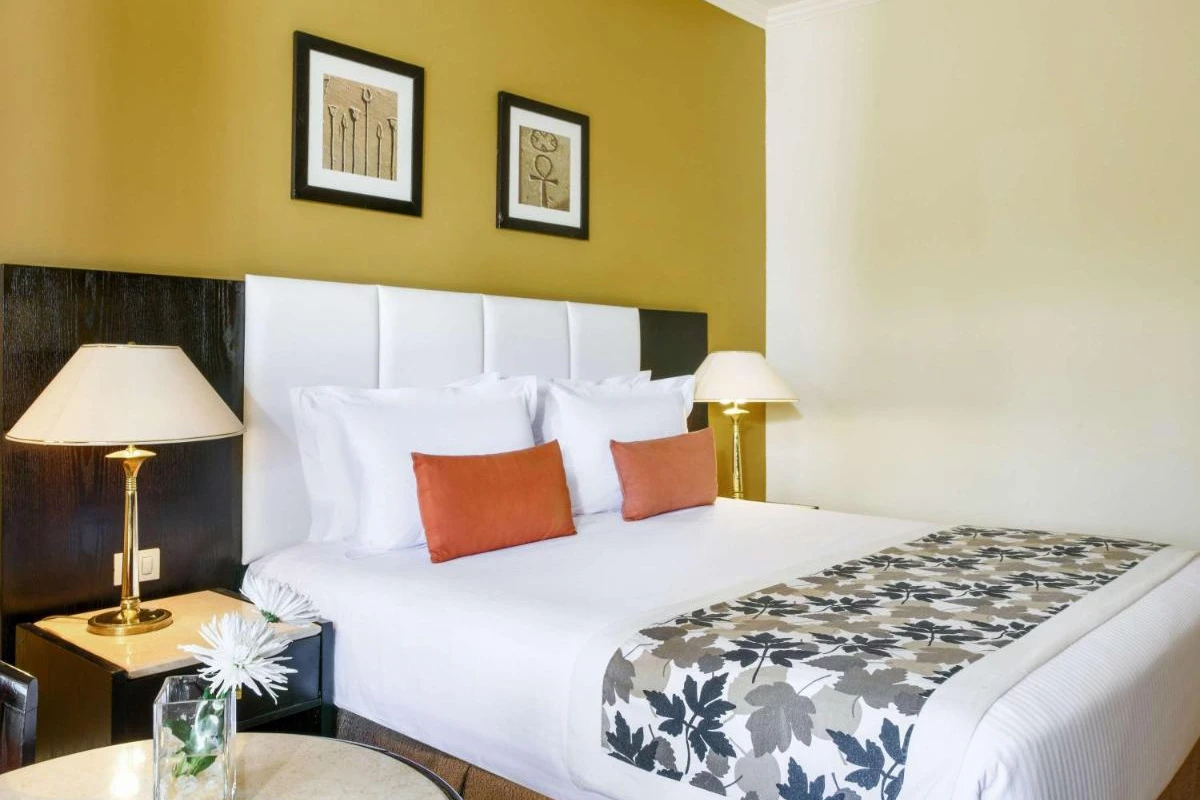 Pavillon Winter Luxor Hotel - Hotel Photo 6