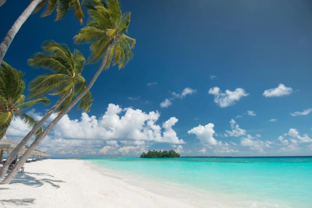 Veligandu Maldives Resort Island - Hotel Photo 22