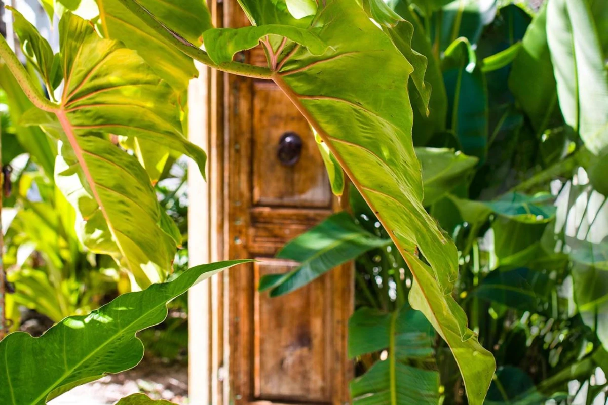 Parrot Key Hotel & Villas - Hotel Photo 26