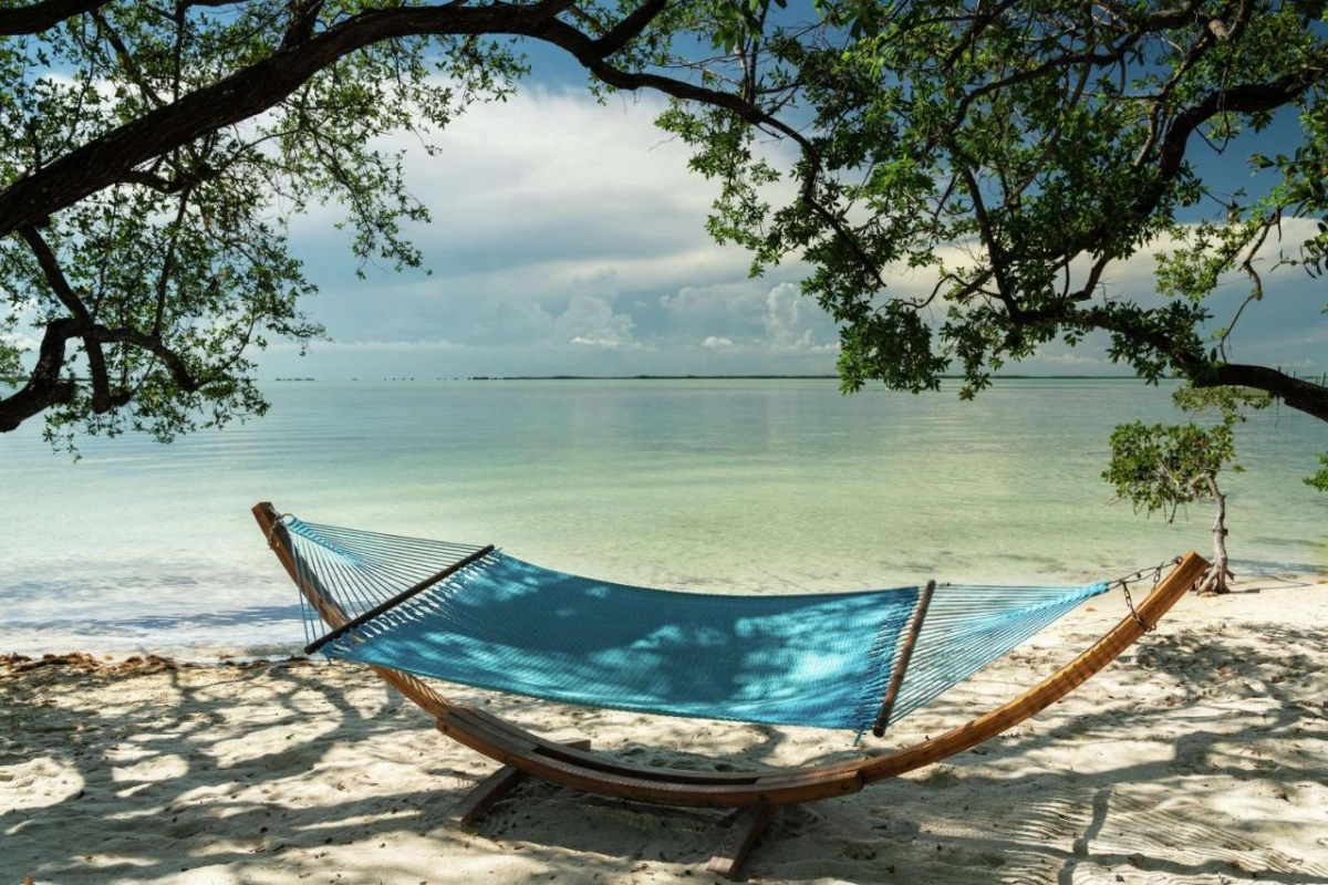Baker's Cay Resort Key Largo Curio Collection by Hilton - Hotel Photo 8