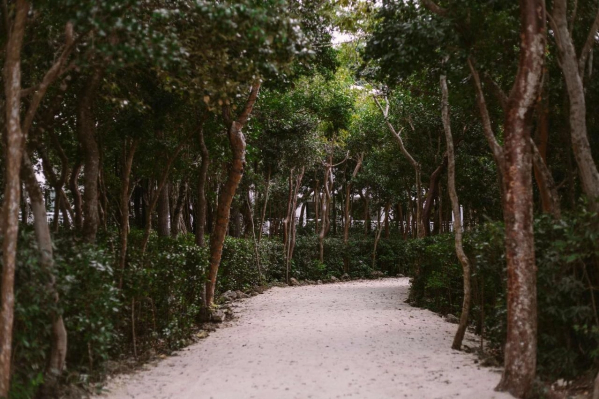 Baker's Cay Resort Key Largo Curio Collection by Hilton - Hotel Photo 9