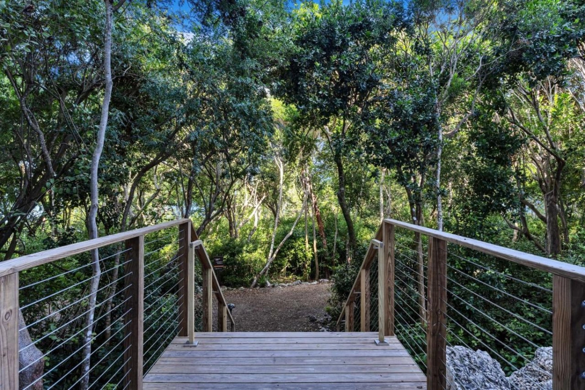 Baker's Cay Resort Key Largo Curio Collection by Hilton - Hotel Photo 29