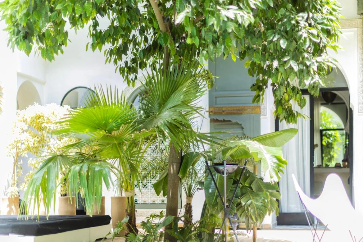 Riad Rafaele & Spa - Hotel Photo 3