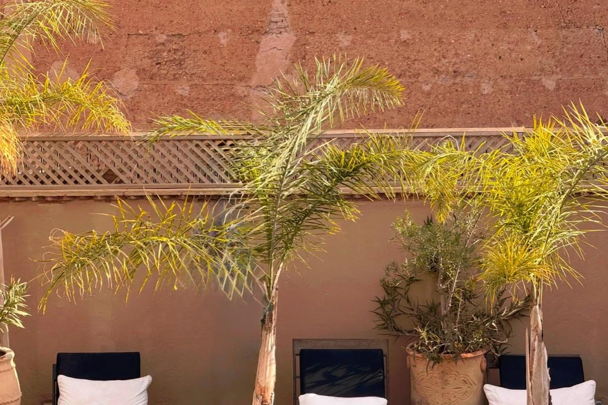 Riad Rafaele & Spa - Hotel Photo 5