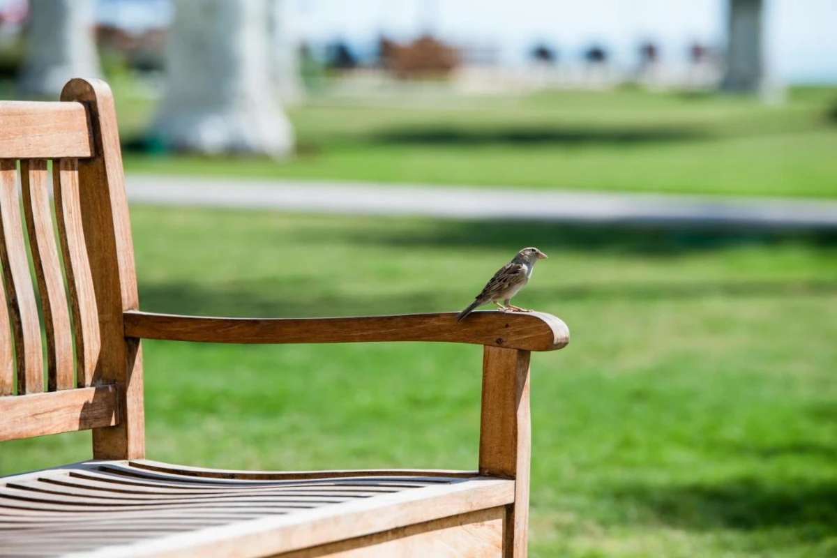 Sealine Beach a Murwab Resort - Hotel Photo 35