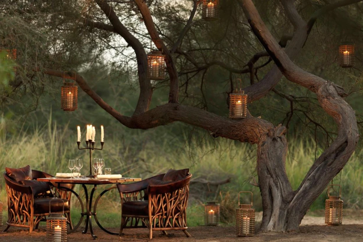 Anantara Sir Bani Yas Island Al Sahel Villa Resort - Hotel Photo 13