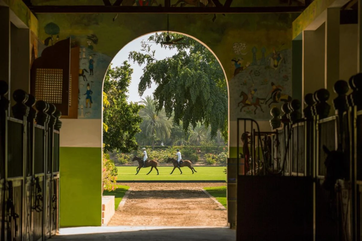 Melia Desert Palm Member of Melia Collection - Hotel Photo 4