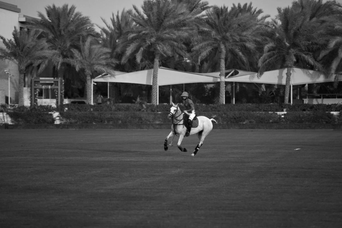 Melia Desert Palm Member of Melia Collection - Hotel Photo 10