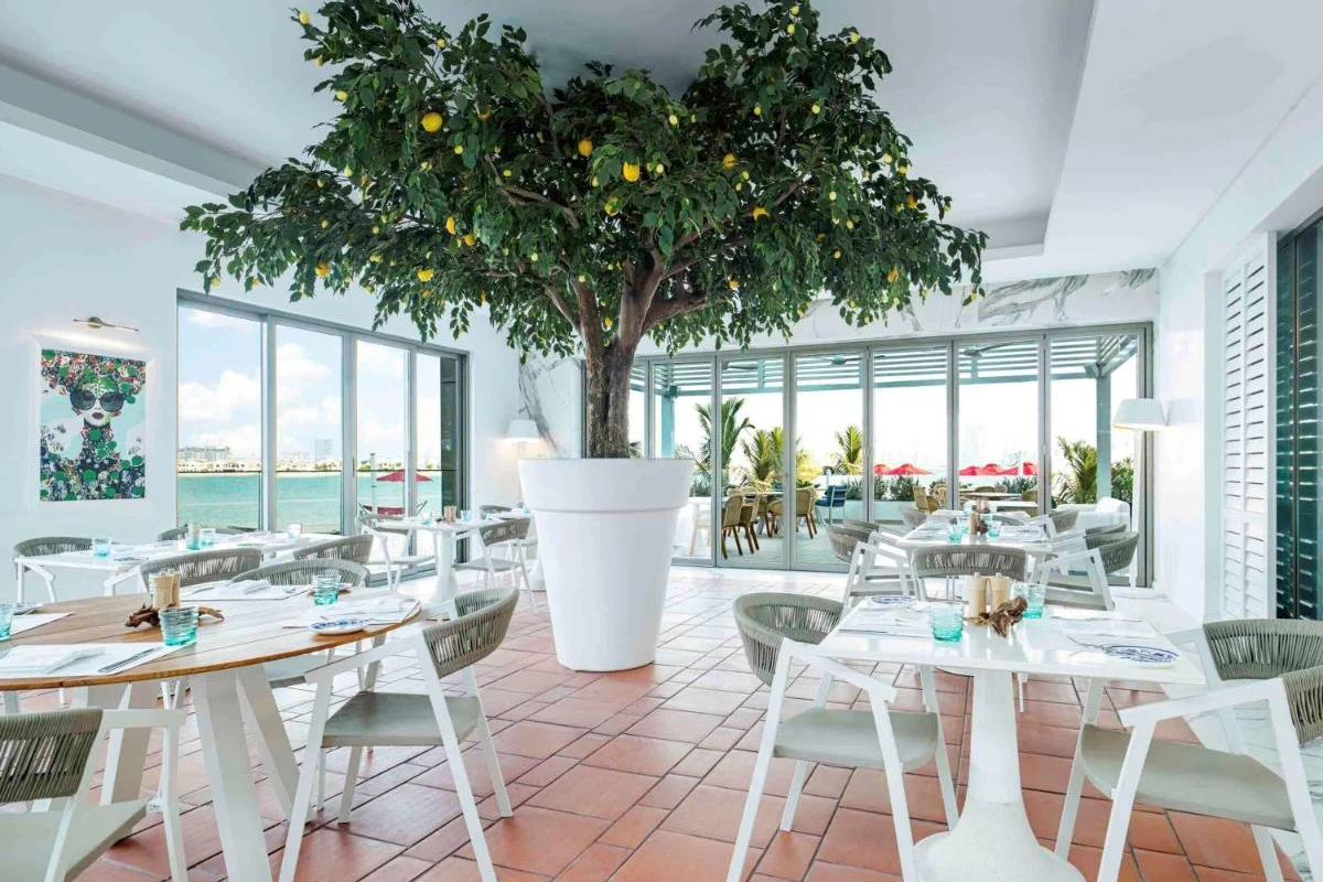 Th8 Palm Dubai Beach Resort Vignette Collection - Hotel Photo 42