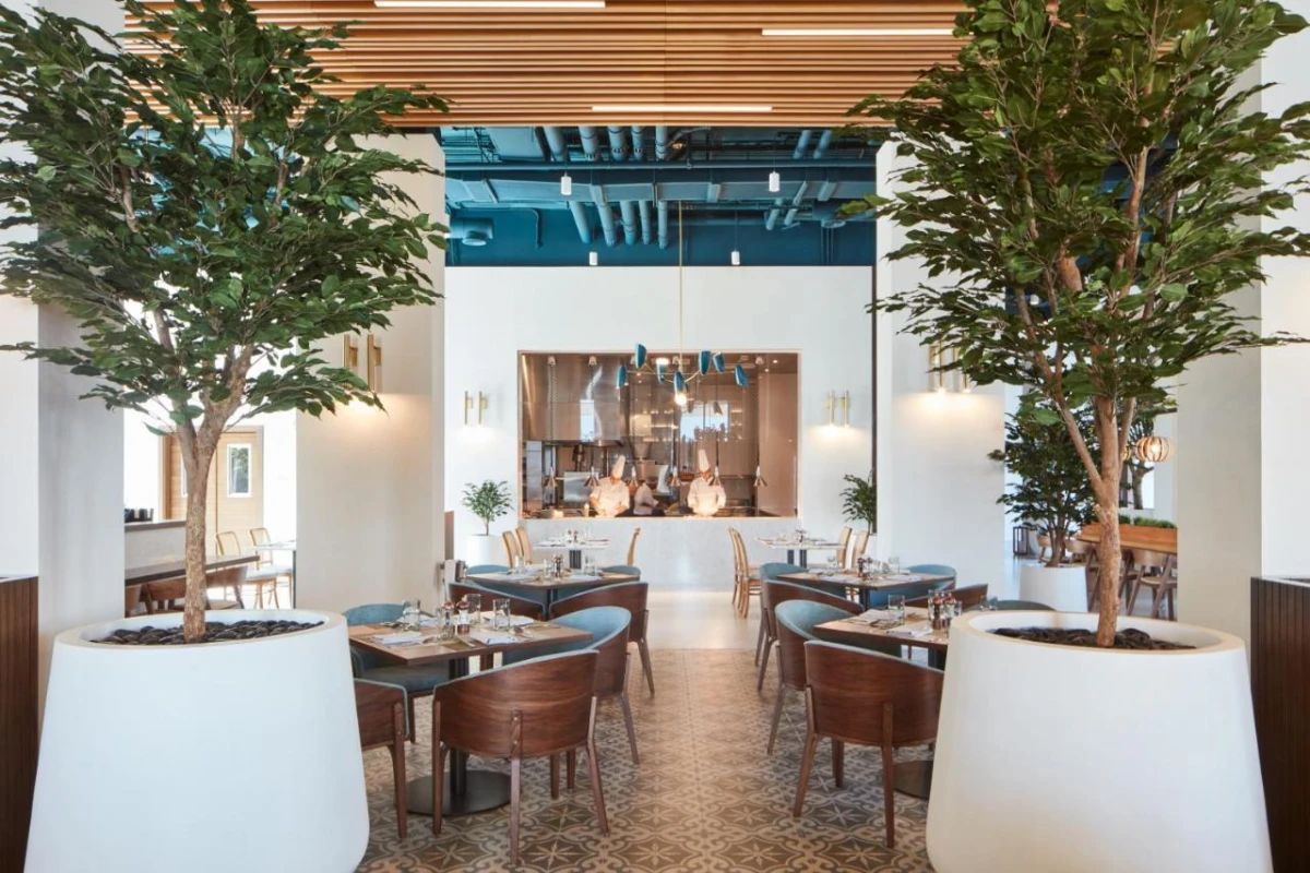 Vida Beach Resort - Hotel Photo 16