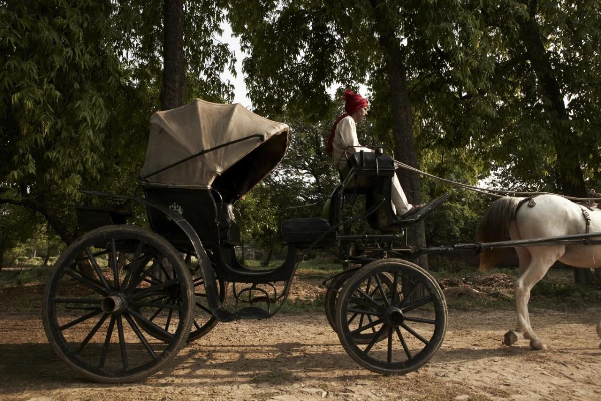 Taj Nadesar Palace - Hotel Photo 21