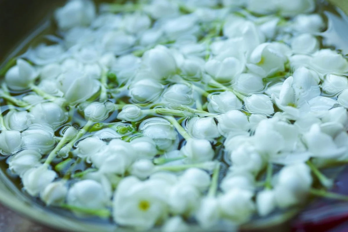 Taj Nadesar Palace - Hotel Photo 22