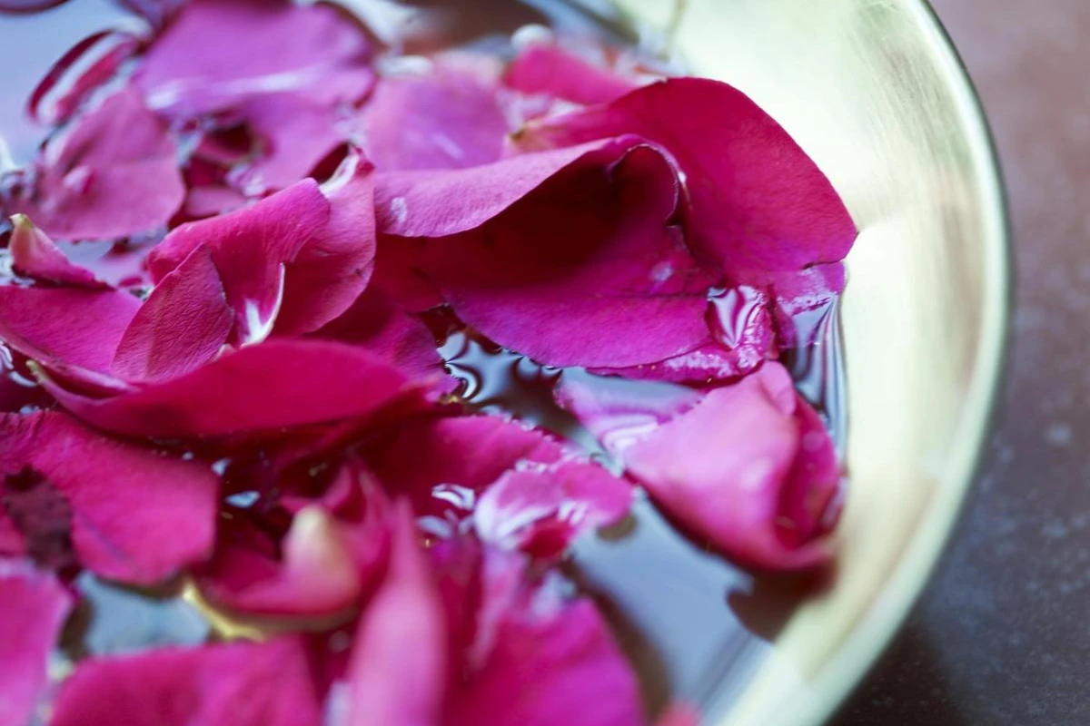 Taj Nadesar Palace - Hotel Photo 24