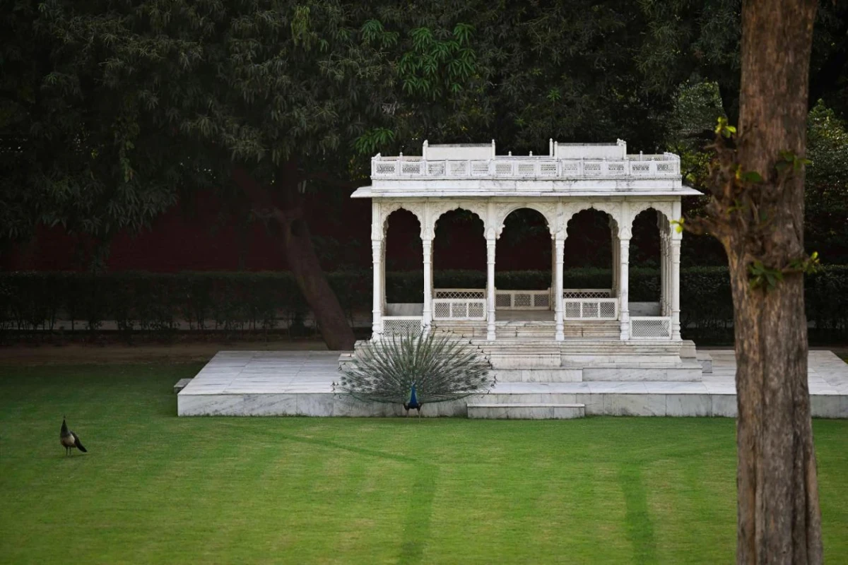 Taj Nadesar Palace - Hotel Photo 46