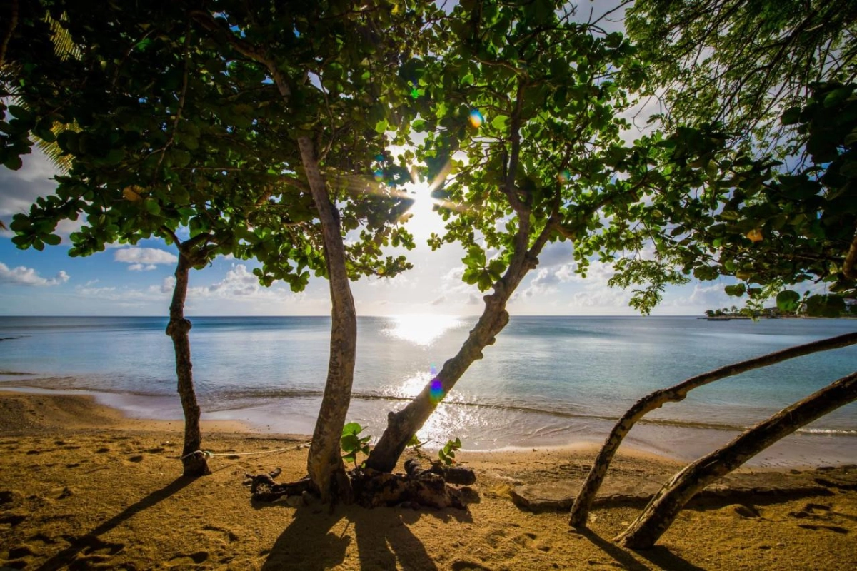 East Winds - Hotel Photo 7