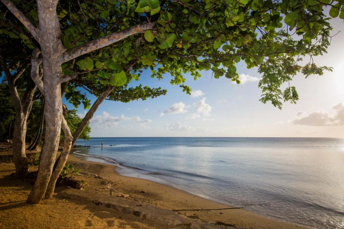 East Winds - Hotel Photo 11