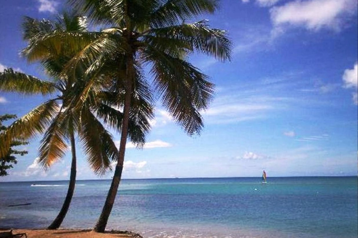 East Winds - Hotel Photo 20