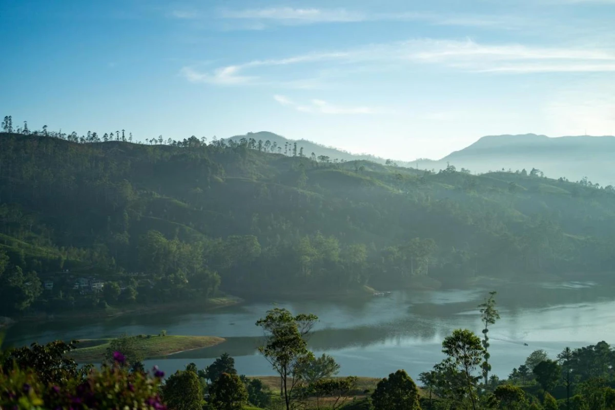 Camellia Hills - Hotel Photo 34