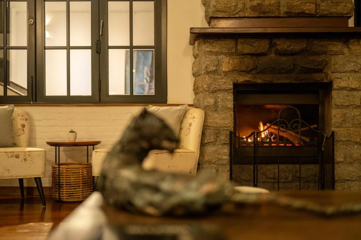 Camellia Hills - Hotel Photo 38