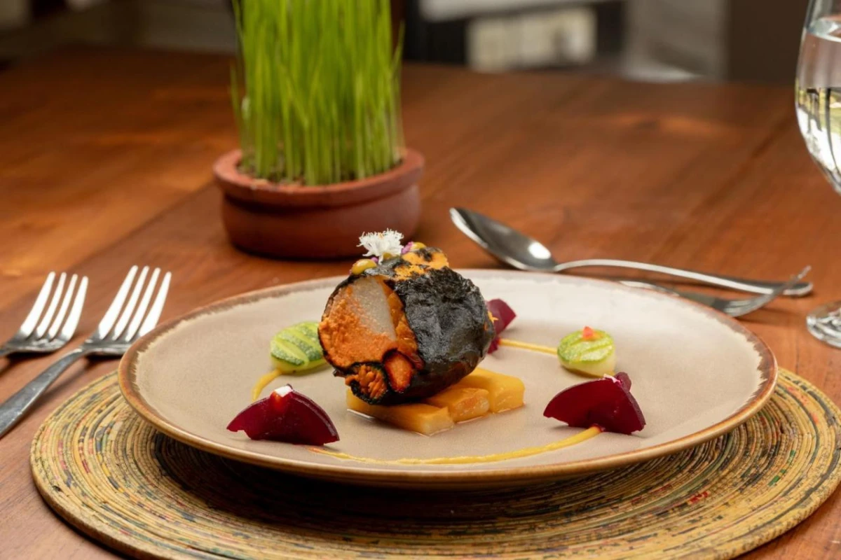 Jetwing Lagoon Wellness A Luxury Reserve - Hotel Photo 11