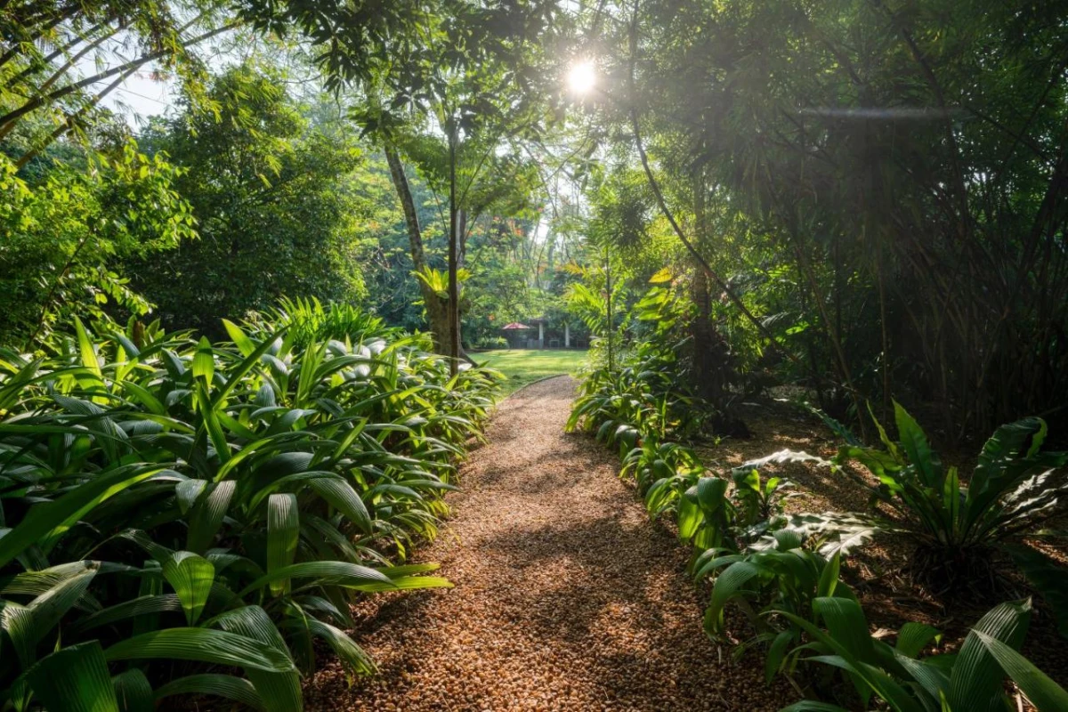 Wallawwa - Hotel Photo 12