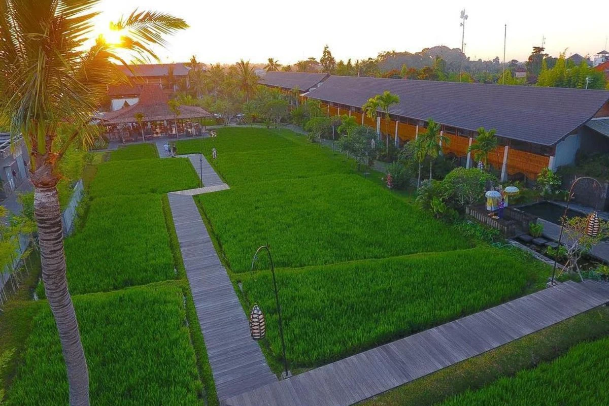 Alaya Resort Ubud - Hotel Photo 43