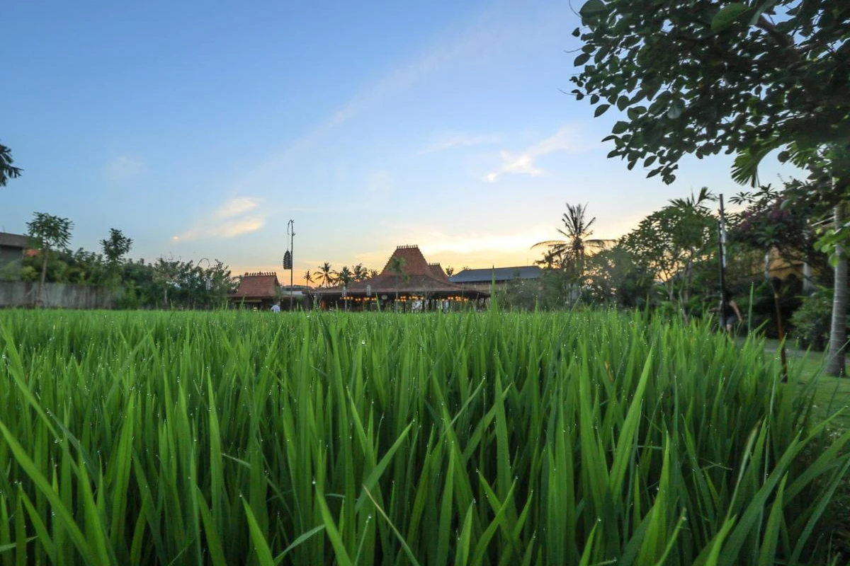 Alaya Resort Ubud - Hotel Photo 49