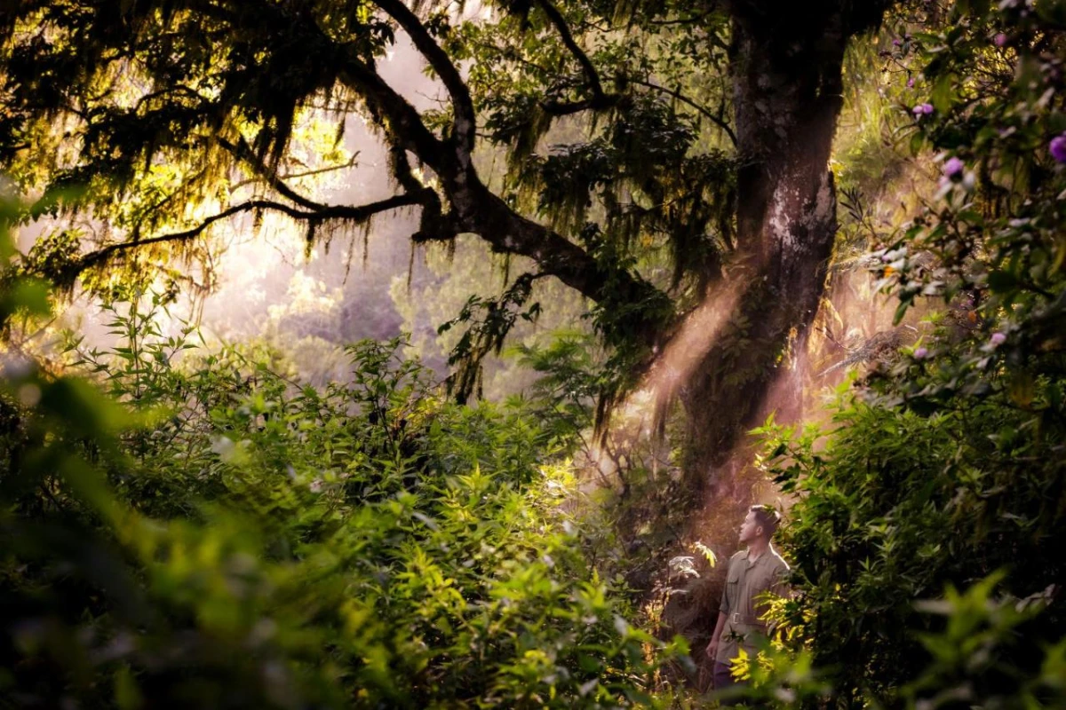 Anantara Ubud Bali Resort - Hotel Photo 15