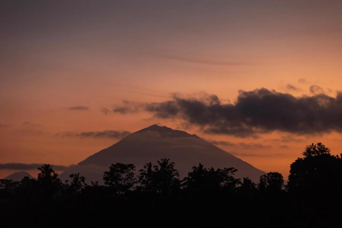 Anantara Ubud Bali Resort - Hotel Photo 19