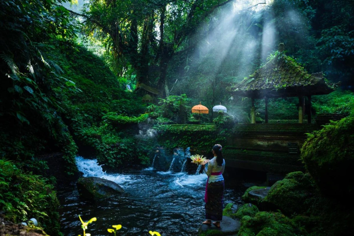 Anantara Ubud Bali Resort - Hotel Photo 27