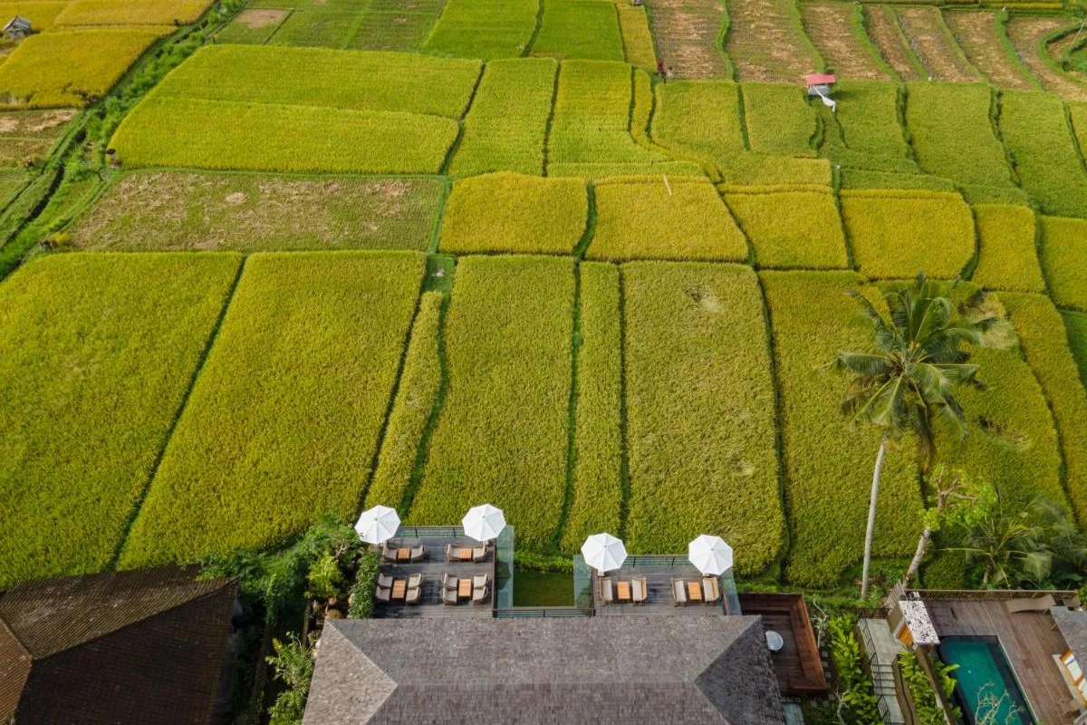 Kappa Senses Ubud - Hotel Photo 5