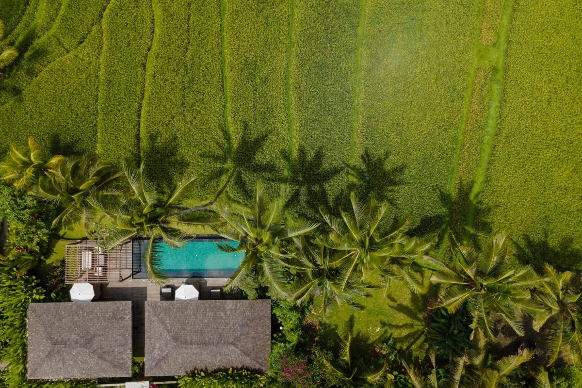 Kappa Senses Ubud - Hotel Photo 24