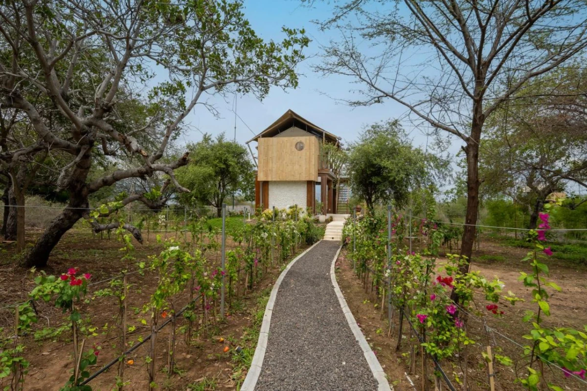 Menjangan Dynasty Resort - Hotel Photo 6