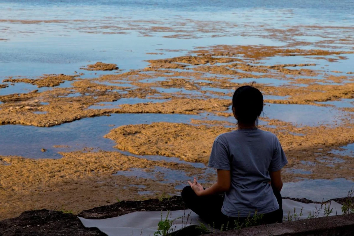 Plataran Menjangan Resort & Spa - Hotel Photo 23