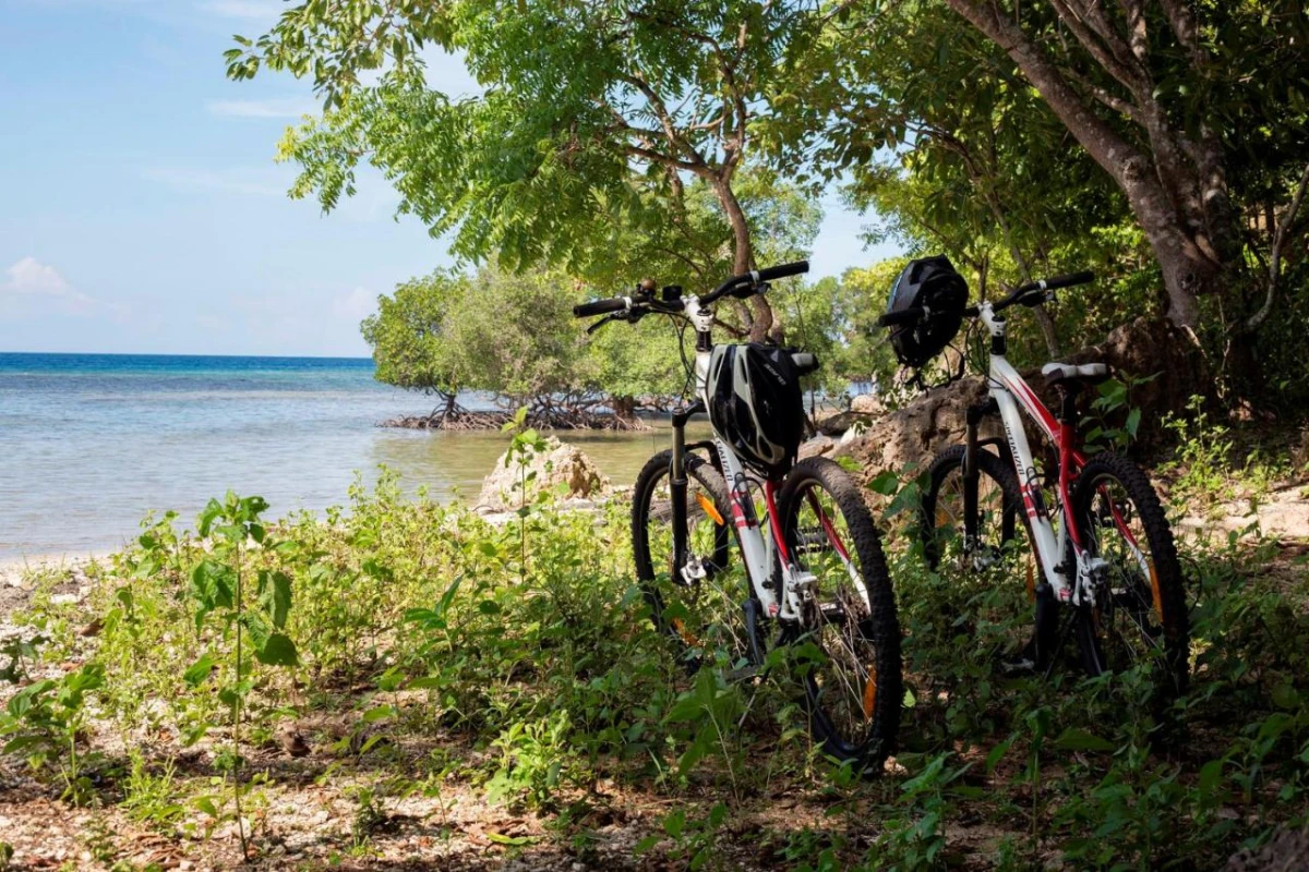 Plataran Menjangan Resort & Spa - Hotel Photo 46