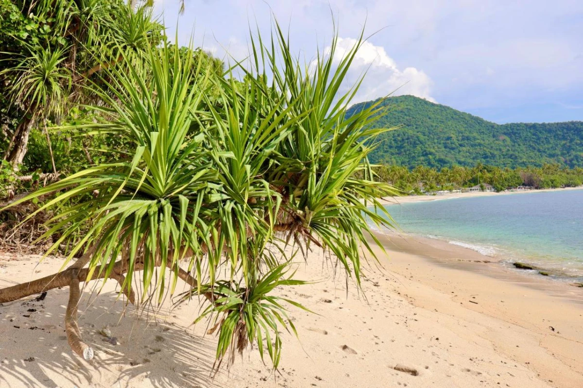 Seven Secrets by Hanging Gardens - Hotel Photo 31