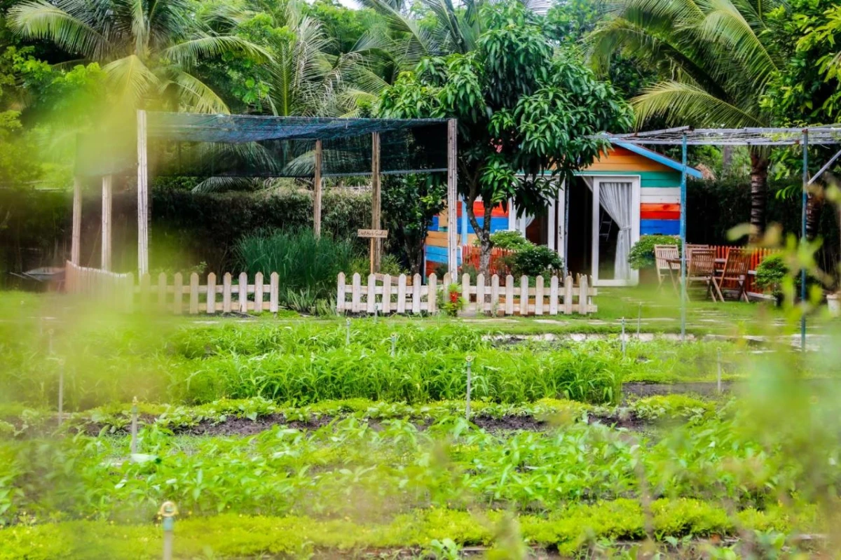 Melia Ho Tram Beach Resort - Hotel Photo 22