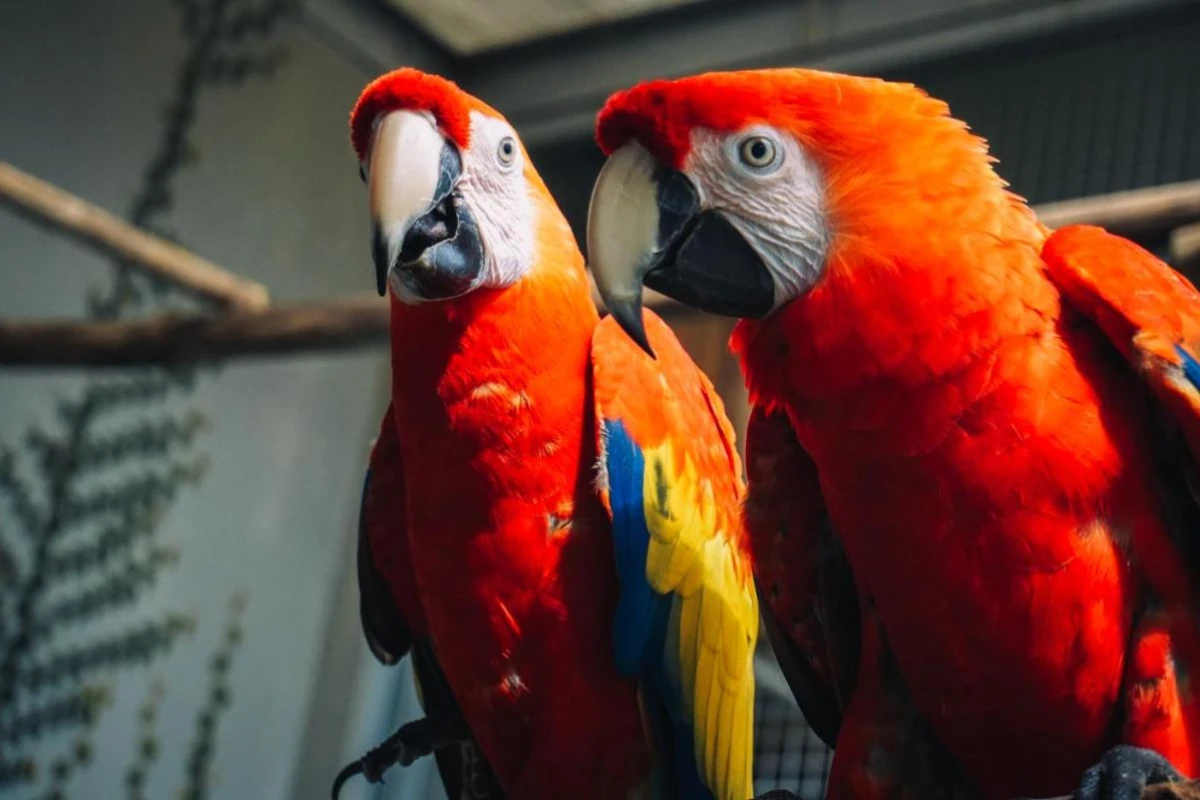 Vedana Lagoon Resort & Spa - Hotel Photo 13