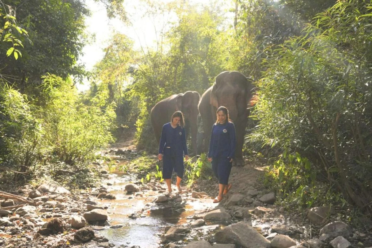 La Residence Phou Vao - Hotel Photo 21