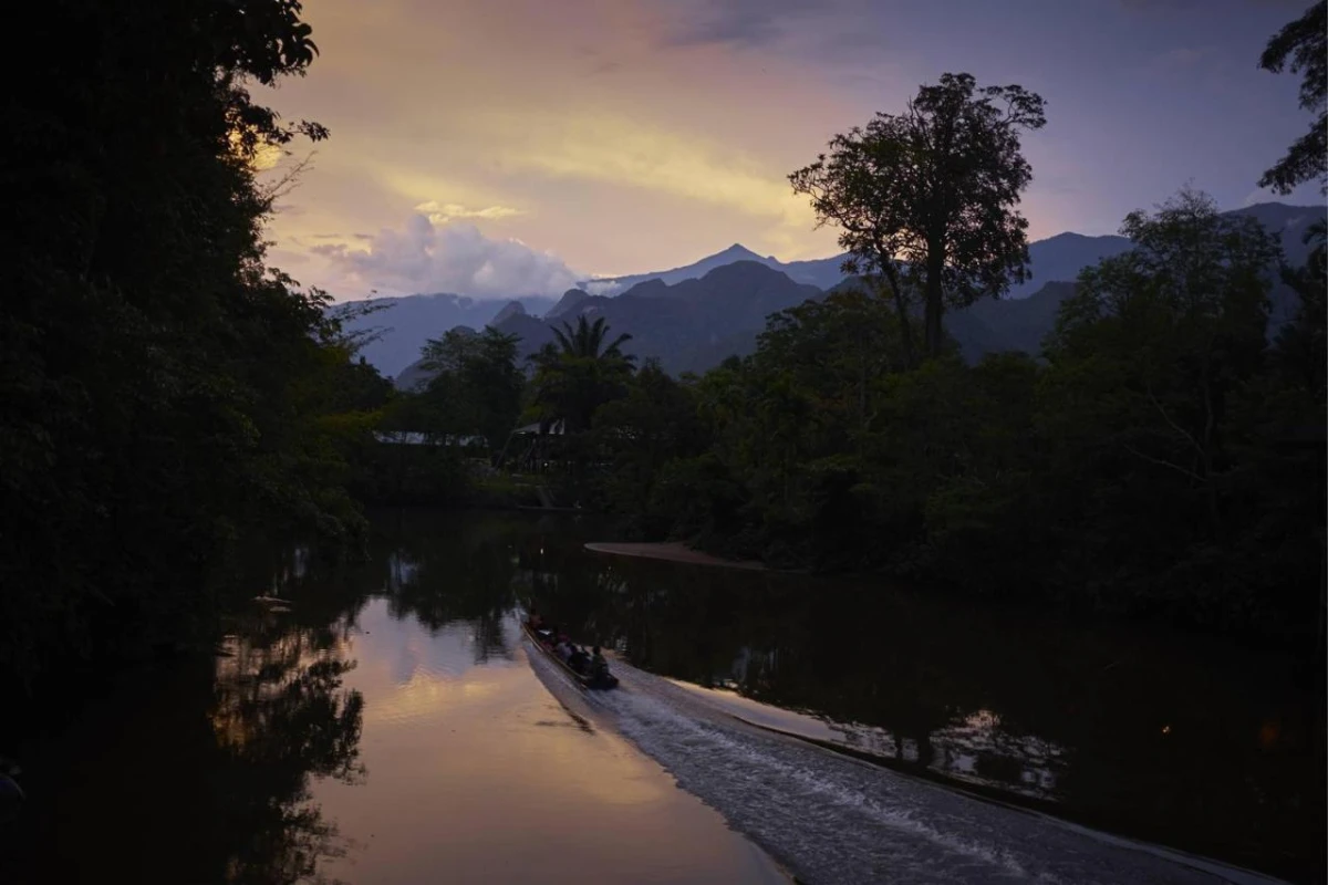 Mulu Marriott Resort & Spa - Hotel Photo 5